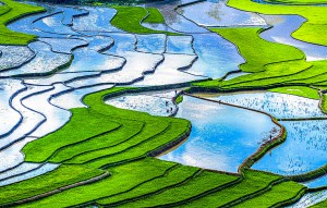Tây Bắc vào vụ mới
