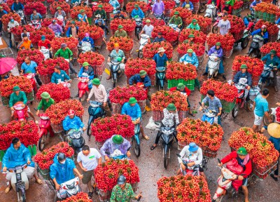 Sắc màu chợ Vải thiều