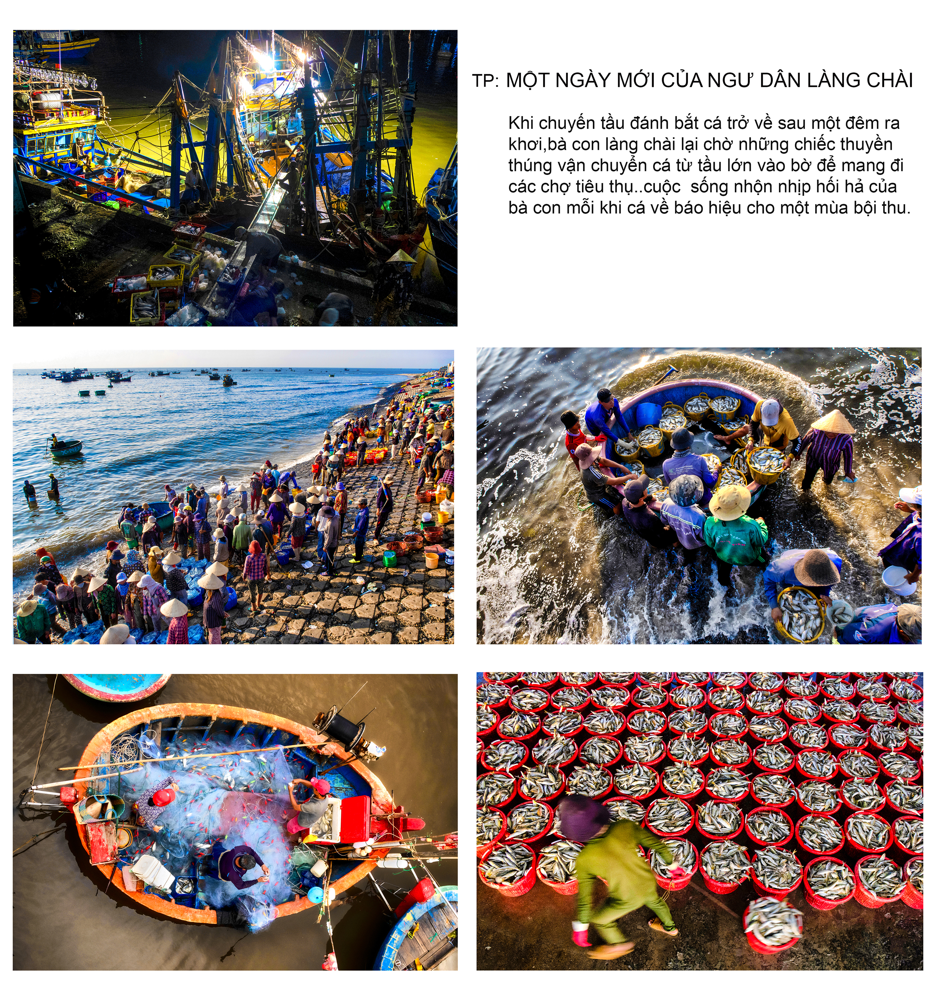 một ngày mới của ngư dân làng chài